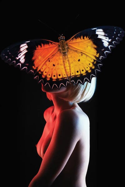 Woman In Butterfly by Alexandre Venancio framed wall art