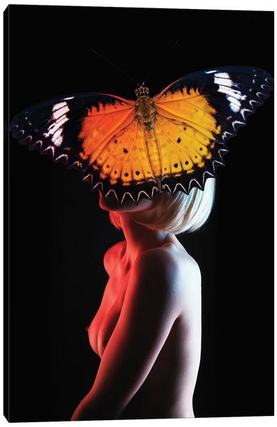 Woman In Butterfly Canvas Art Print - Alexandre Venancio