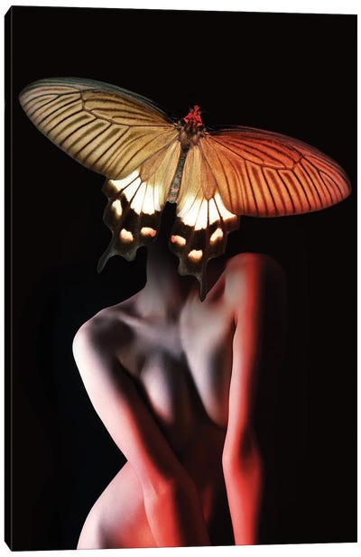 Woman In Butterfly II Canvas Art Print - Alexandre Venancio