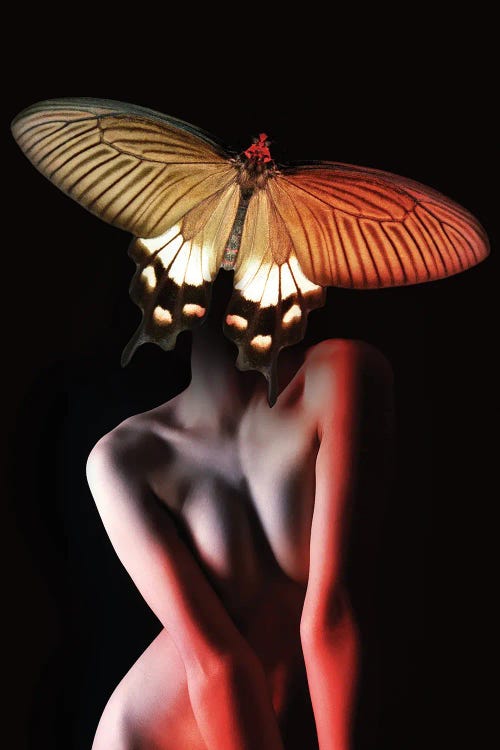 Woman In Butterfly II by Alexandre Venancio wall art