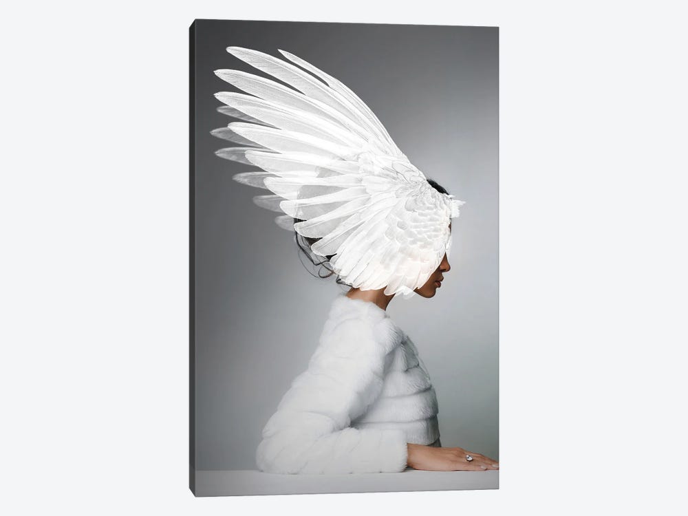 Woman And Wings by Alexandre Venancio 1-piece Canvas Wall Art