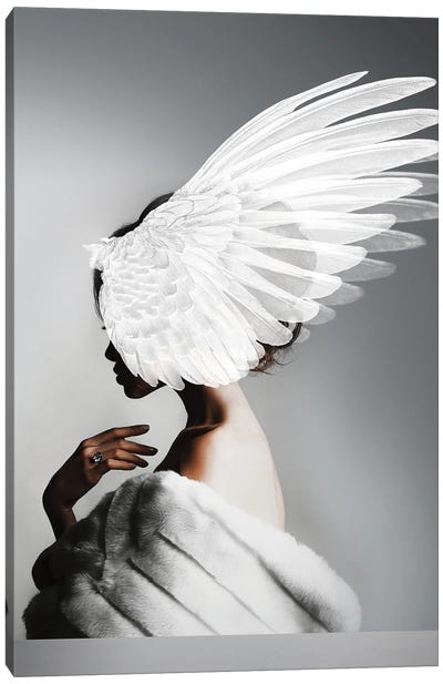 Woman And Wings II Canvas Art Print - Alexandre Venancio
