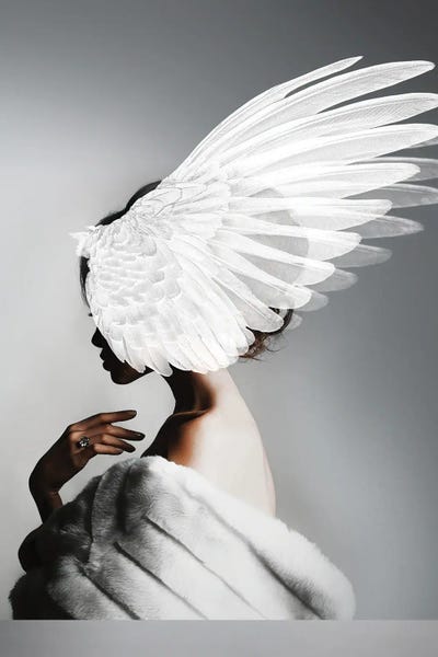Alexandre Venancio: Woman And Wings II by Alexandre Venancio