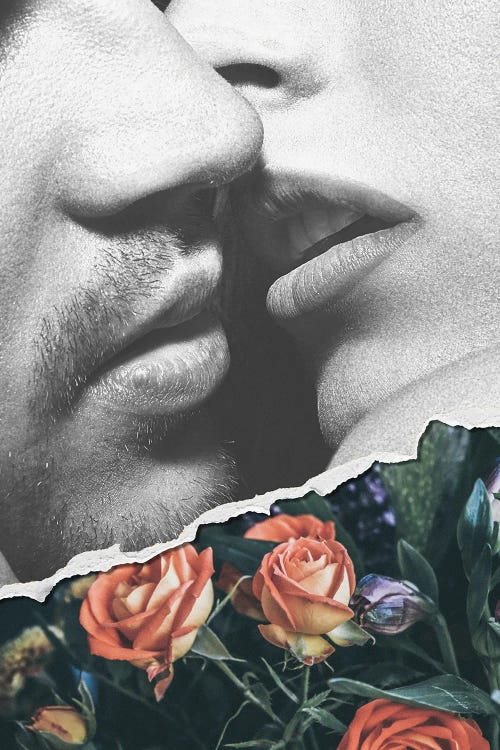 French Kiss by Alexandre Venancio wall art