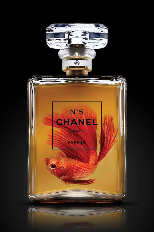 Chanel Beta Fish by Alexandre Venancio wall art