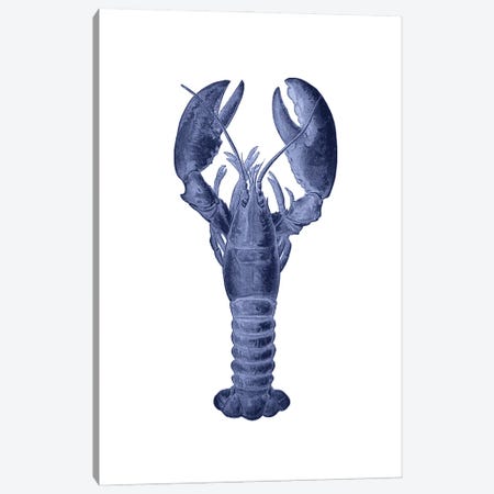Blue Lobster Canvas Print #VNC282} by Alexandre Venancio Canvas Wall Art