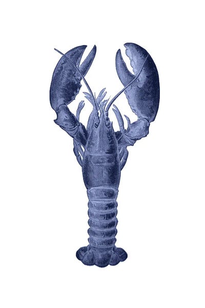 Alexandre Venancio: Blue Lobster by Alexandre Venancio