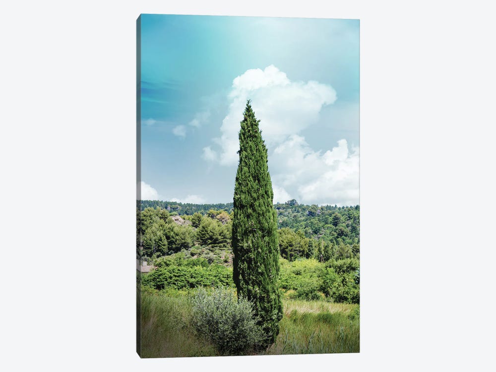 France Provence Tree by Alexandre Venancio 1-piece Canvas Artwork
