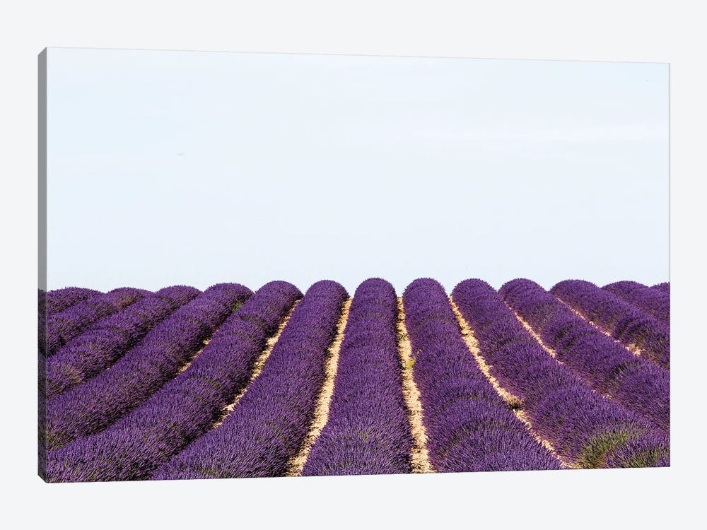 France Provence Lavande Field Pair I by Alexandre Venancio 1-piece Canvas Print