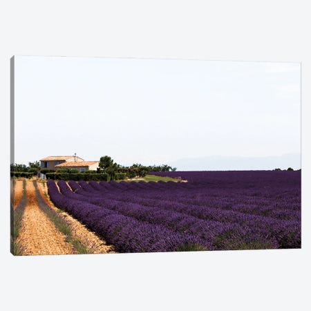 France Provence Lavande Field Pair II Canvas Print #VNC323} by Alexandre Venancio Canvas Print