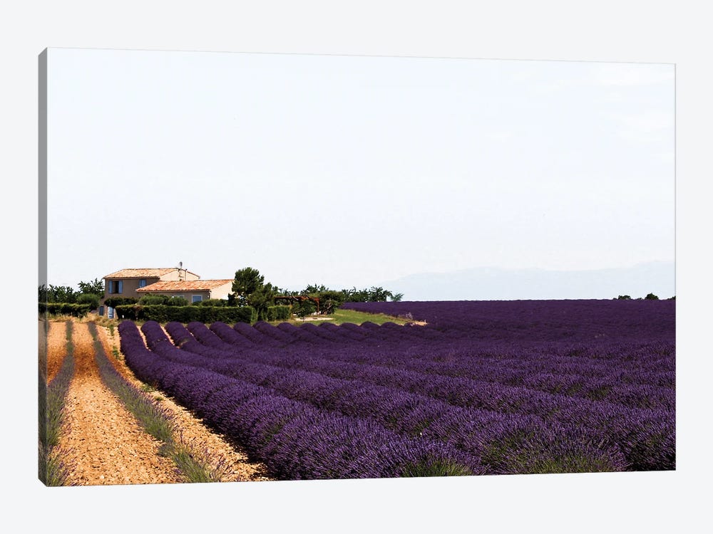 France Provence Lavande Field Pair II by Alexandre Venancio 1-piece Canvas Artwork