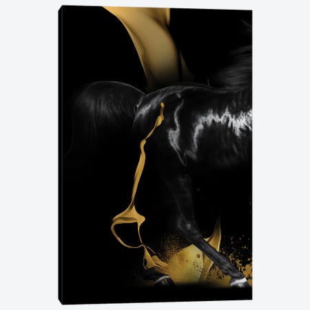 Black And Golden Horse Pair I Canvas Print #VNC346} by Alexandre Venancio Canvas Artwork