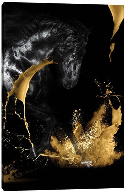 Black And Golden Horse Pair II Canvas Art Print - Make a Statement