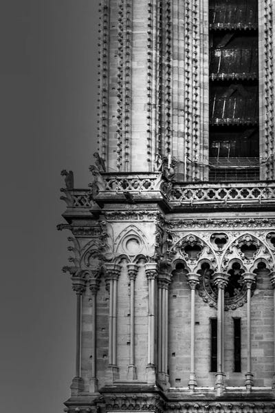 Alexandre Venancio: Paris In Black And White Notre-Dame Detail by Alexandre Venancio
