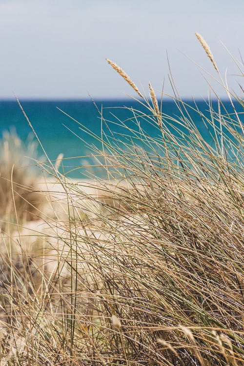 Portugal Beach I