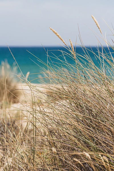 Alexandre Venancio: Portugal Beach I by Alexandre Venancio