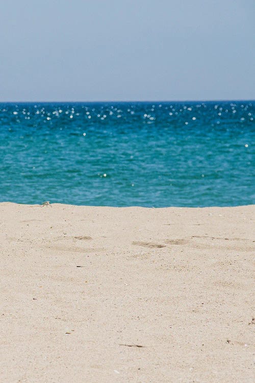 Portugal Beach III by Alexandre Venancio wall art