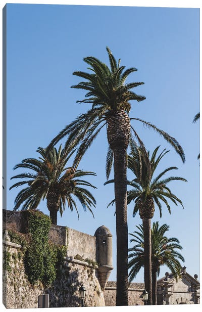Portugal Cascais Palmtrees Canvas Art Print