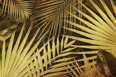 Golden Leaves by Alexandre Venancio framed wall art