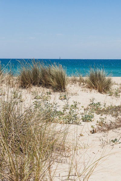 Portugal Comporta I by Alexandre Venancio canvas print