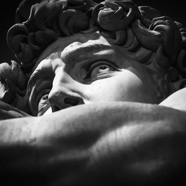 Davi Michelangelo Detail by Alexandre Venancio wall art