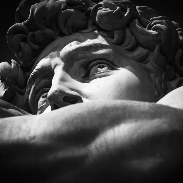 Sculptures & Statues: Davi Michelangelo Detail by Alexandre Venancio
