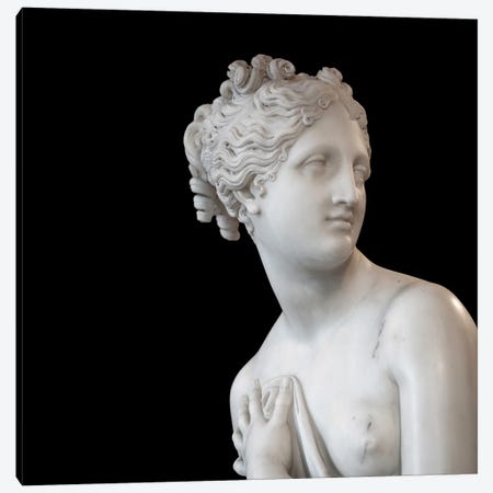 Roman Sculpture I Canvas Print #VNC522} by Alexandre Venancio Canvas Print