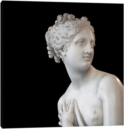 Roman Sculpture I Canvas Art Print - Alexandre Venancio
