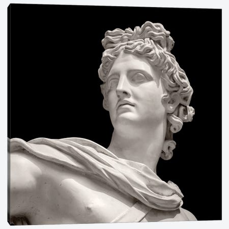 Roman Sculpture II Canvas Print #VNC523} by Alexandre Venancio Canvas Print