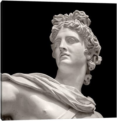 Roman Sculpture II Canvas Art Print - Alexandre Venancio