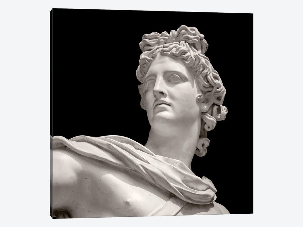 Roman Sculpture II by Alexandre Venancio 1-piece Canvas Art