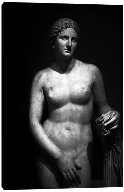 Roman Sculpture Bw Canvas Art Print - Alexandre Venancio