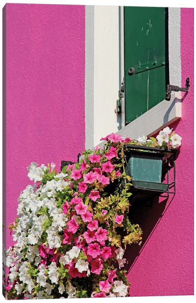 Burano Italia Pink Detail Canvas Art Print - Alexandre Venancio
