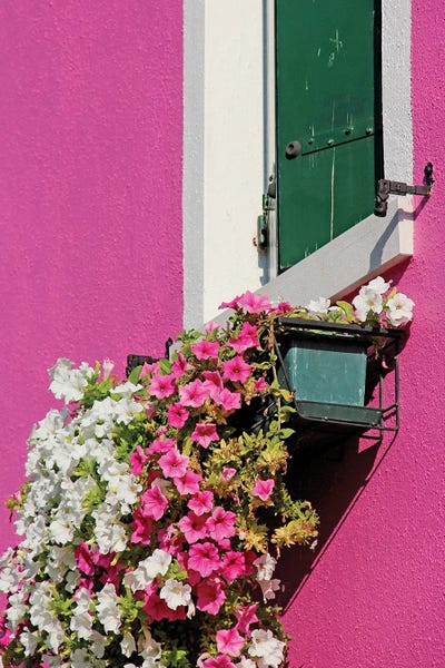 Alexandre Venancio: Burano Italia Pink Detail by Alexandre Venancio