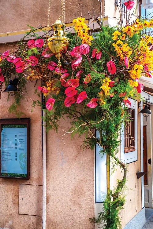 Old Toledo, Spain Flowers