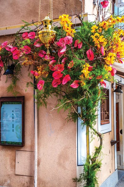 Alexandre Venancio: Old Toledo, Spain Flowers by Alexandre Venancio