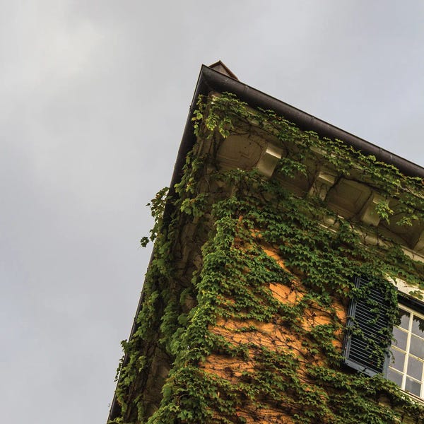 Roma, The Eternal City - Detail