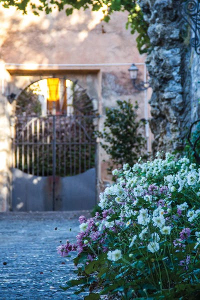 Alexandre Venancio: Roma, The Eternal City - White Flowers by Alexandre Venancio