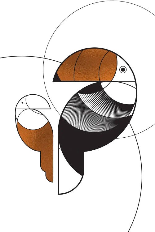 Brazil's Minimal Illustration Birds