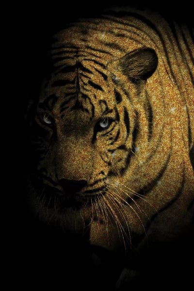 Q by Alexandre Venancio framed wall art