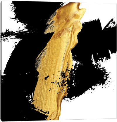 Black And Gold A Canvas Art Print - Alexandre Venancio