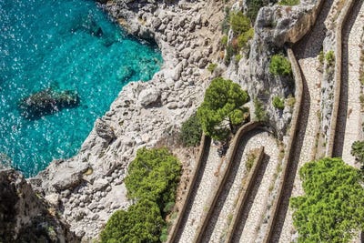 The Path by Alexandre Venancio art print