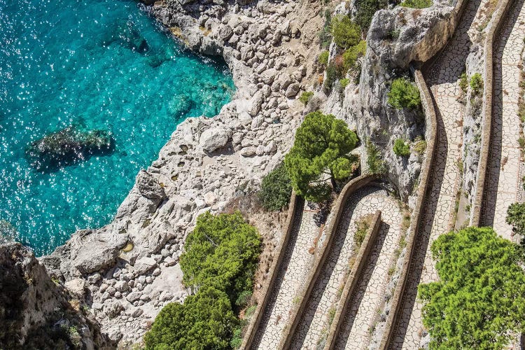 The Path by Alexandre Venancio wall art
