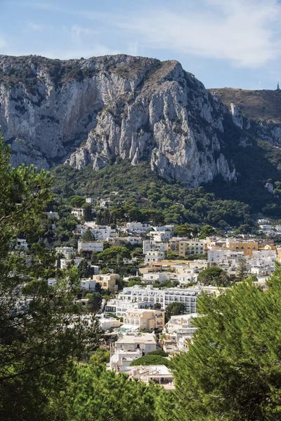 Alexandre Venancio: The Town by Alexandre Venancio