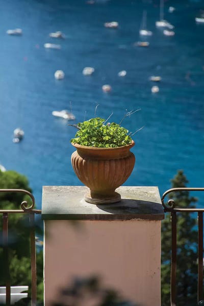 The Vase In The Balcony by Alexandre Venancio art print