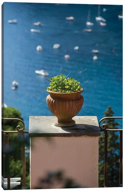The Vase In The Balcony Canvas Art Print - Alexandre Venancio