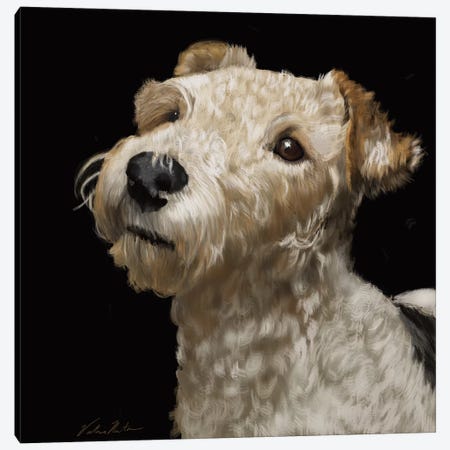 Fox Terrier Canvas Print #VNE100} by Vicki Newton Canvas Print