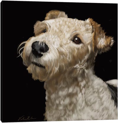 Fox Terrier Canvas Art Print - Vicki Newton