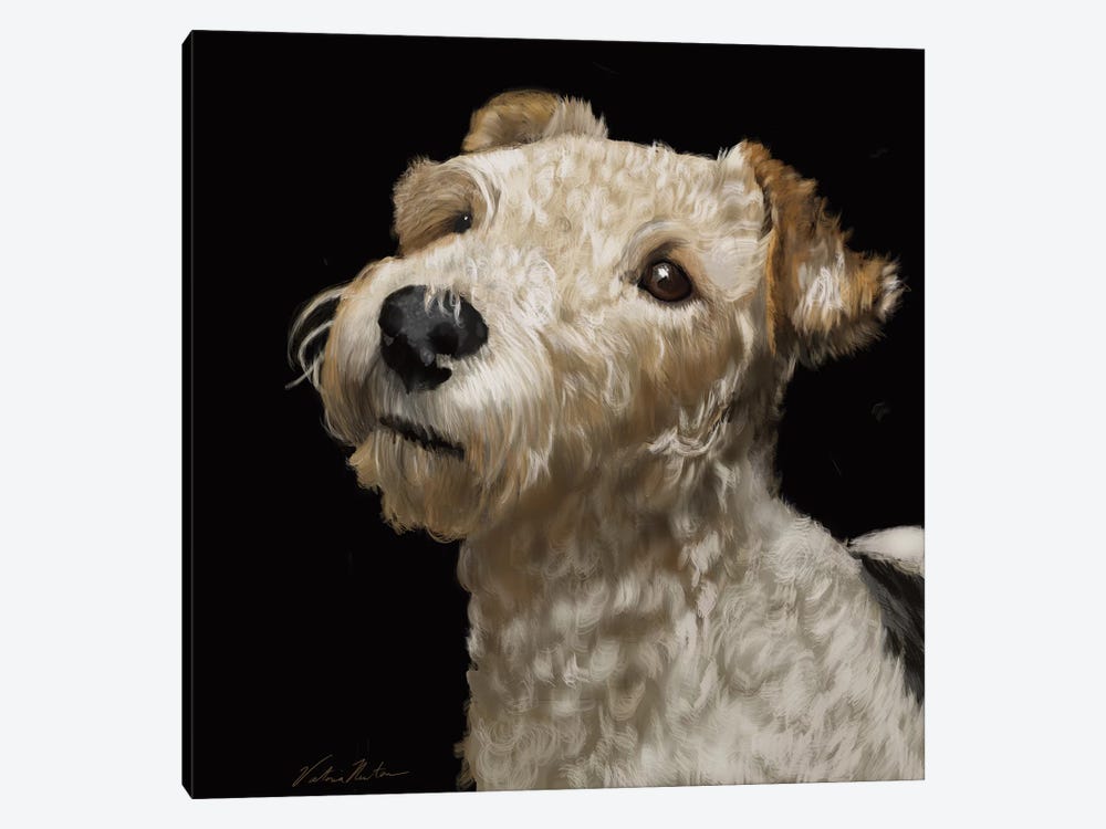 Fox Terrier by Vicki Newton 1-piece Canvas Art