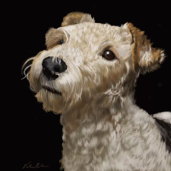 Vicki Newton: Fox Terrier by Vicki Newton